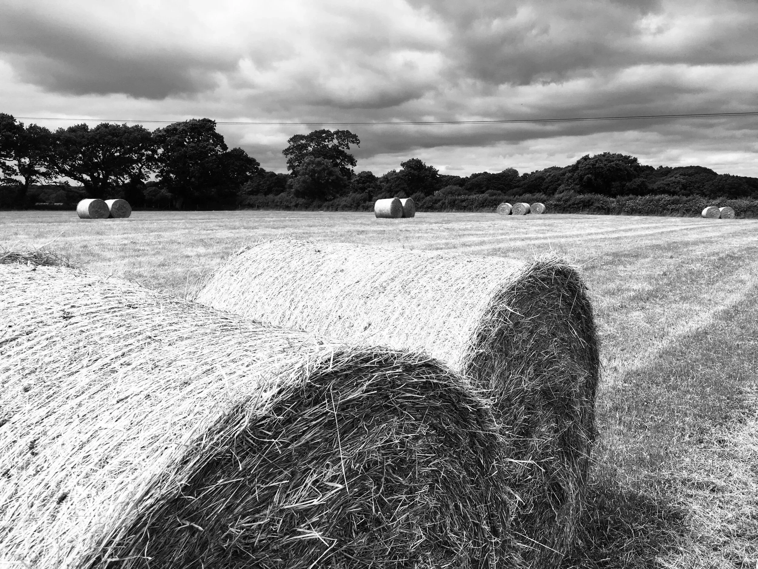 Black and white photo of a field with large hay bales scattered across the landscape, trees in the background, and dark clouds overhead.