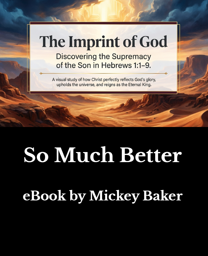 ebook - cover So Much Better.png