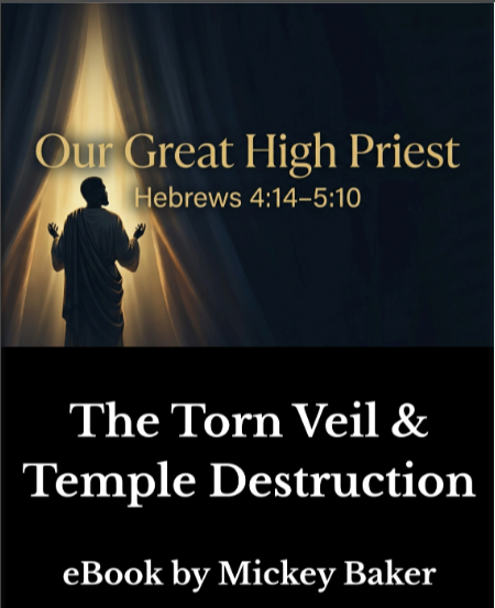 eBook cover - The Torn Veil.png