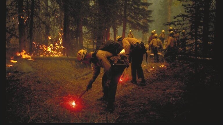 Firefighters United for Safety, Ethics, and Ecology | Join the Fire ...