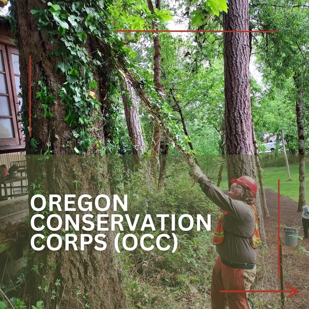 Learn more about the Oregon Conservation Corps by visiting our website&mdash;link in bio.
Don't forget to comment and share!

#EcologicalFireManagement #EcologicalFireUse #FirefightersUnited #FUSEEfire 
#wildlandfire #wildfire #environment #firefight