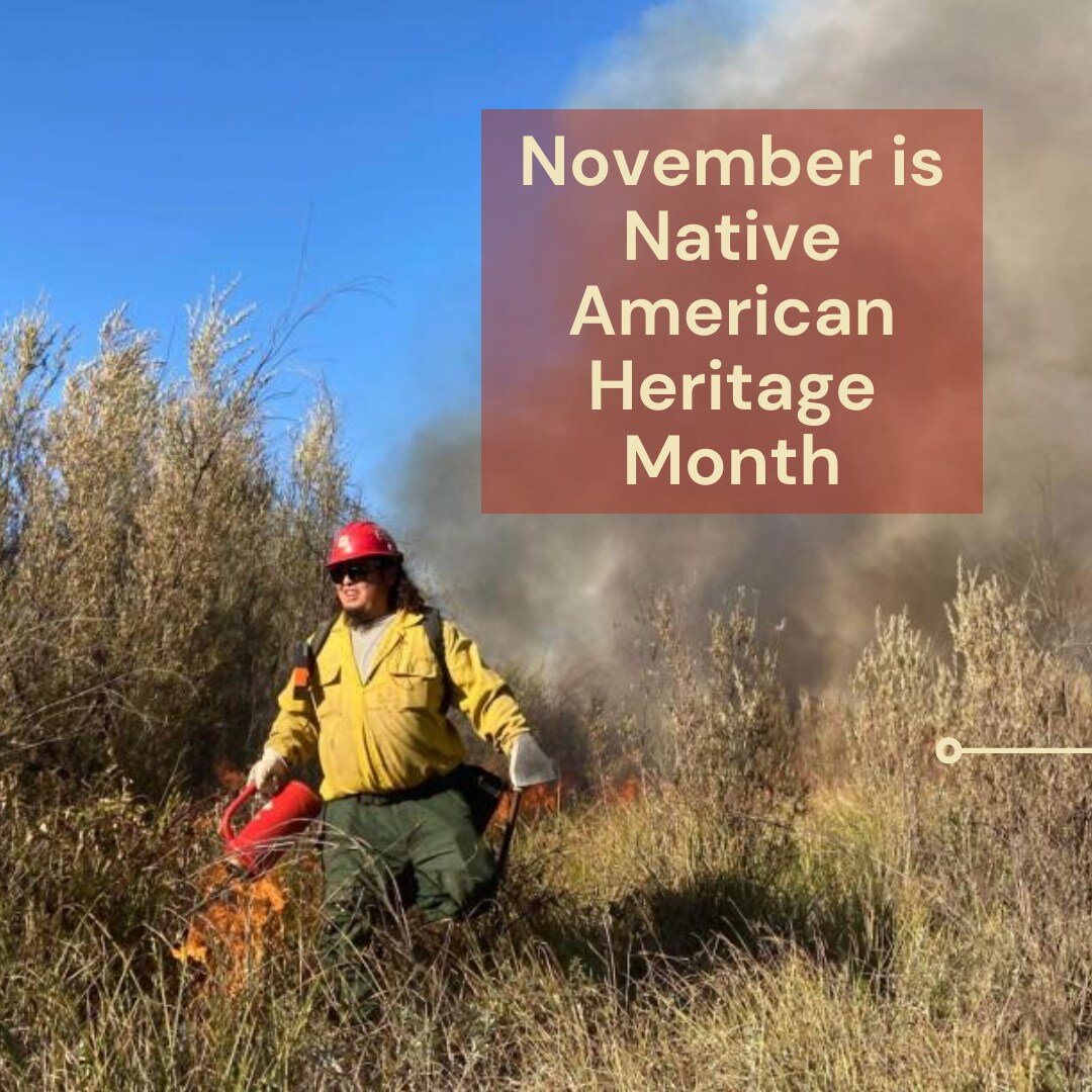 Join us in honoring Native Peoples by learning more about cultural burning practices on our website&mdash;link in bio.

Don't forget to like, comment, and share!

#EcologicalFireManagement #EcologicalFireUse #FirefightersUnited #FUSEEfire 
#wildlandf