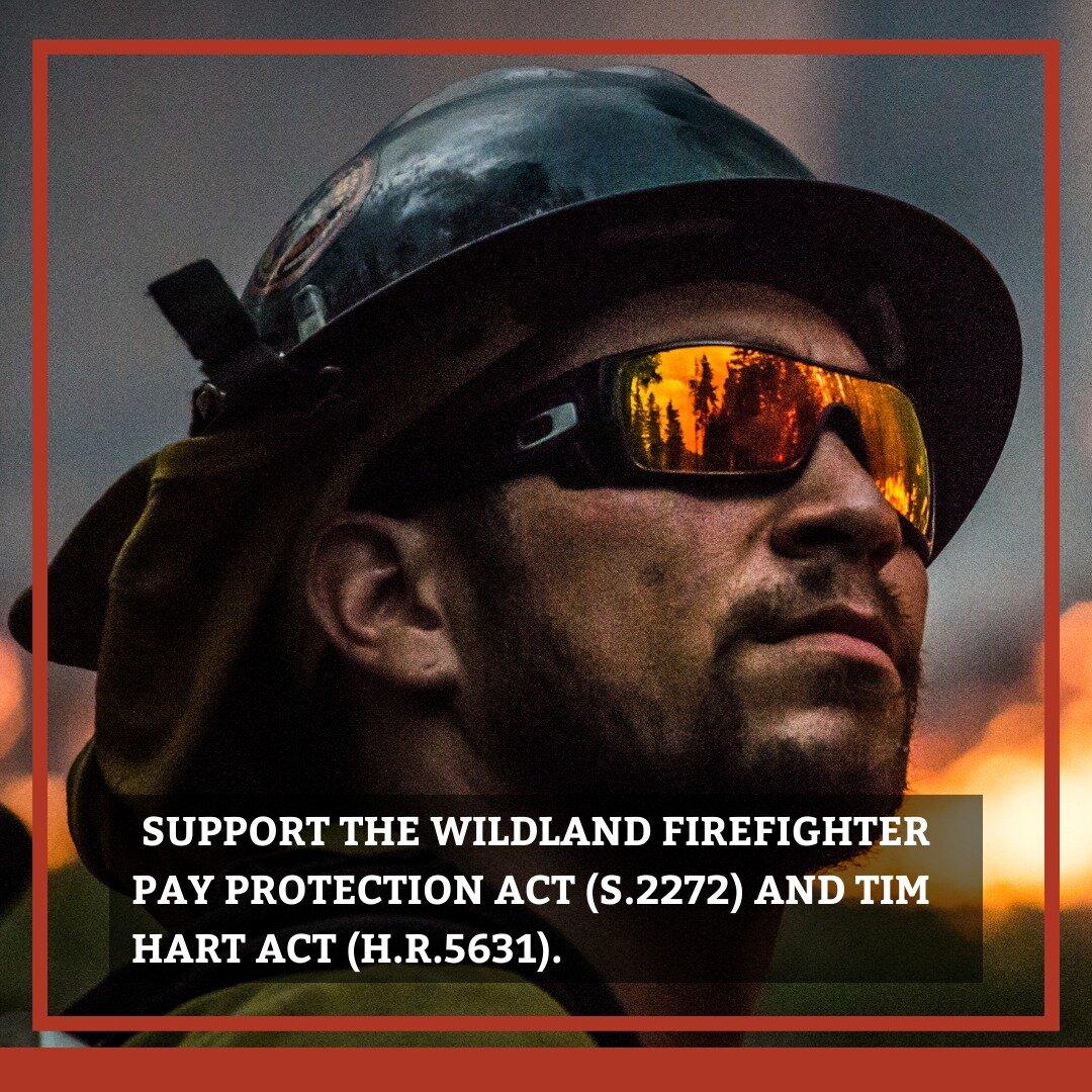 Call Congress to stop the government budget standstill today! Learn more about these two pressing acts by visiting the links on the post.

#EcologicalFireManagement #EcologicalFireUse #FirefightersUnited #FUSEEfire 
#wildlandfire #wildfire #environme