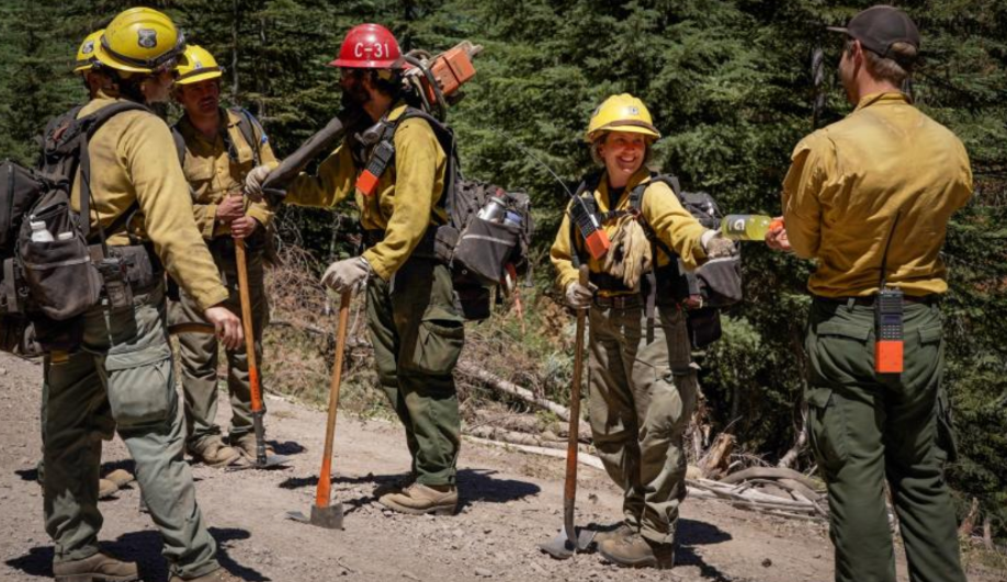 Fire Consolidation as Creative Destruction? Trump's Proposed U.S. Wildland Fire Service