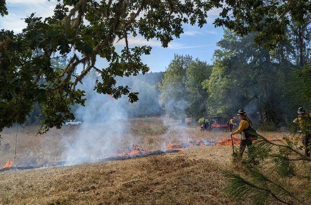 Willamette Ignition Network Class: S-290 Intermediate Wildland Fire Behavior