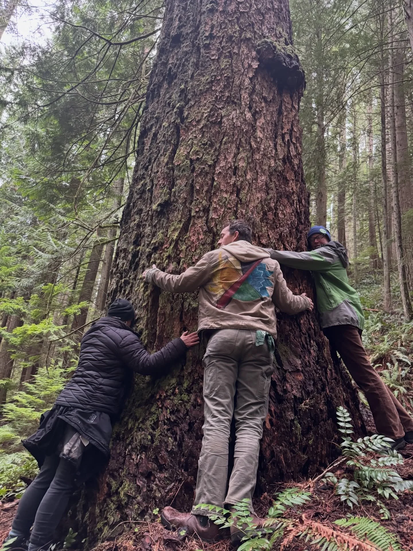 Last weekend, forest and climate organizations from across the region gathered at the beautiful @wellspringspa.mtrainier for a powerful weekend of strategic planning, movement building, and community care at the @pnwfcalliance winter gathering! 🌲✨

