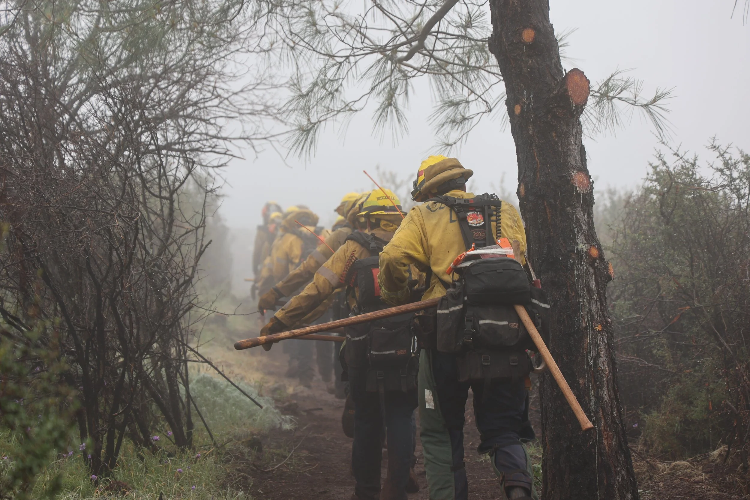 Press Release: Wildland Firefighters Oppose Removing Roadless Area Conservation Rule