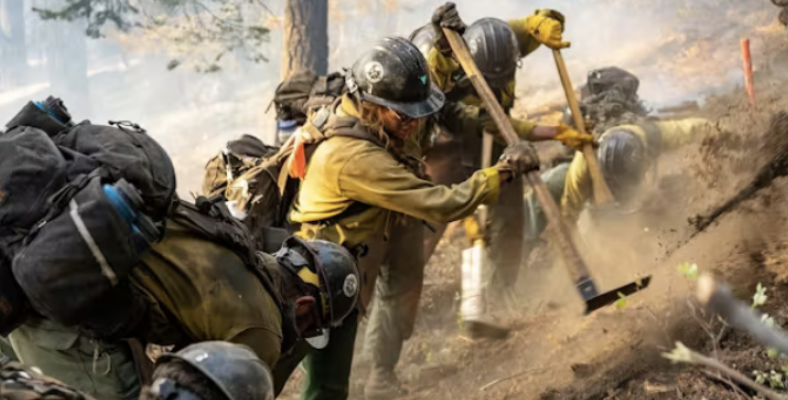 FireUp: Well-Being for Firefighters