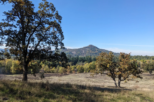 Willamette Ignition Network Class: RT-130 Wildland Fire Safety Training Annual Refresher
