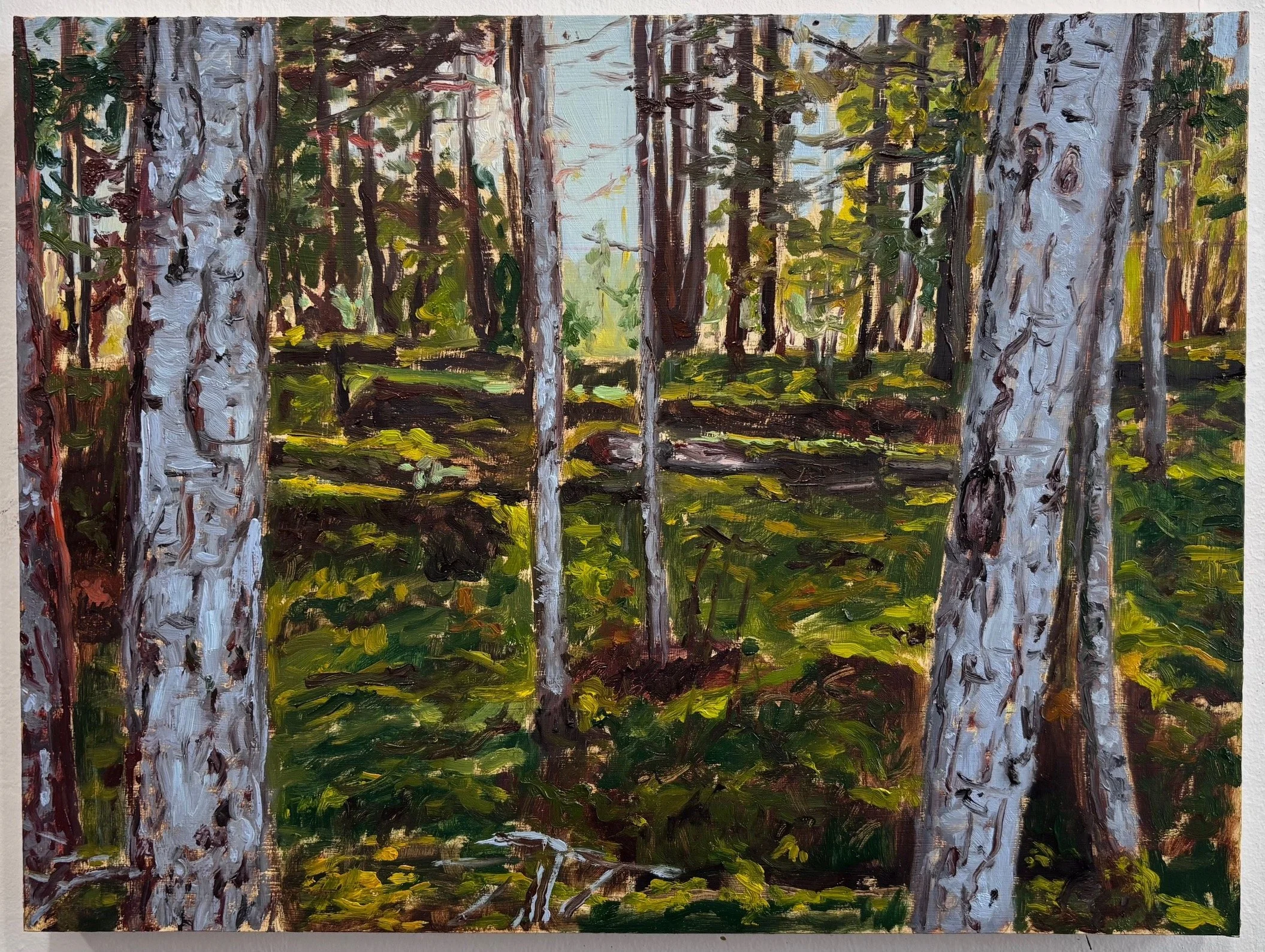 Heidi Daehler:
Understory, 2026
huile sur panneau / oil on panel
30.5 x 40.6 cm
