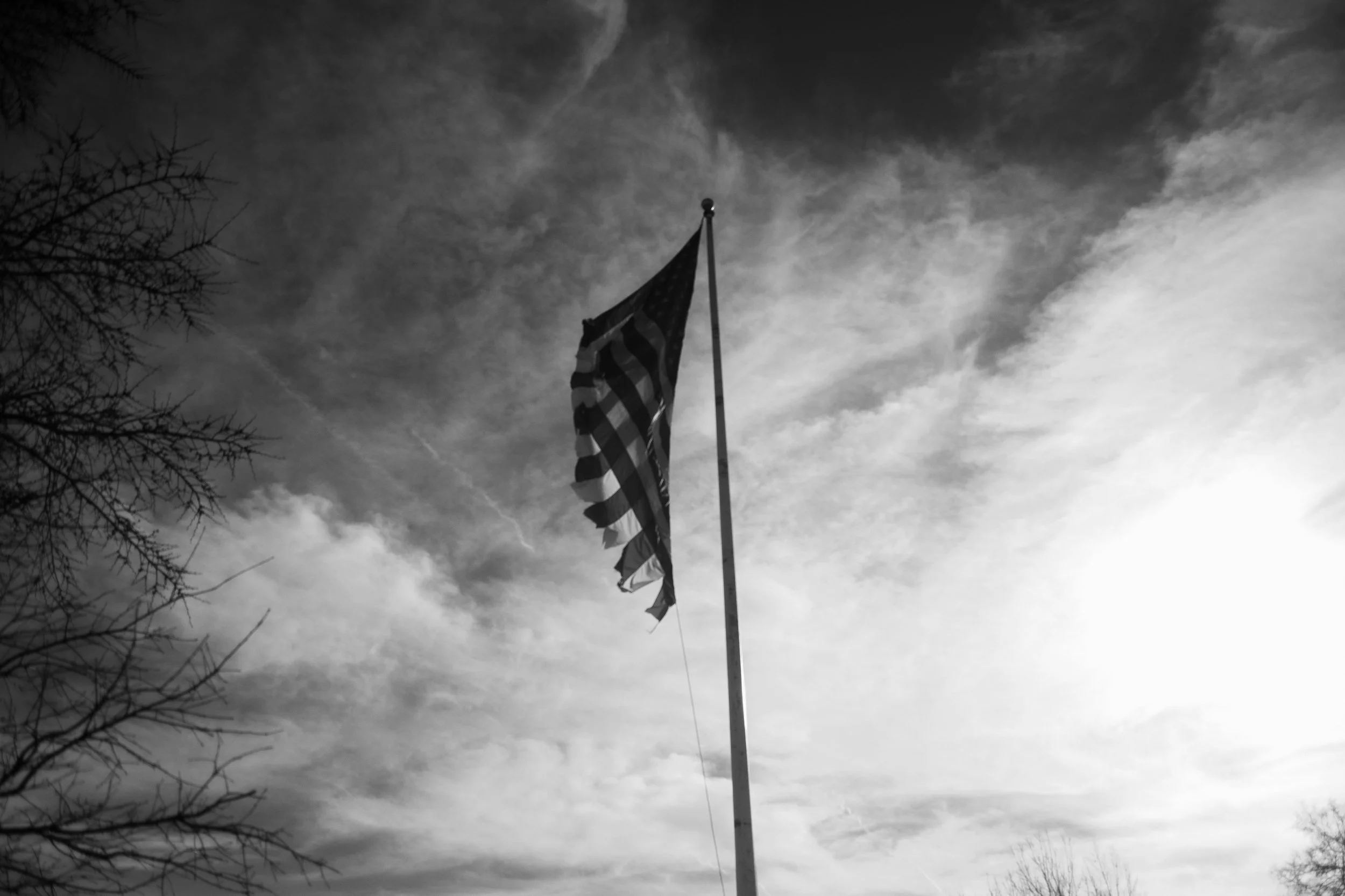 DLyles_Portfolio-7.jpg