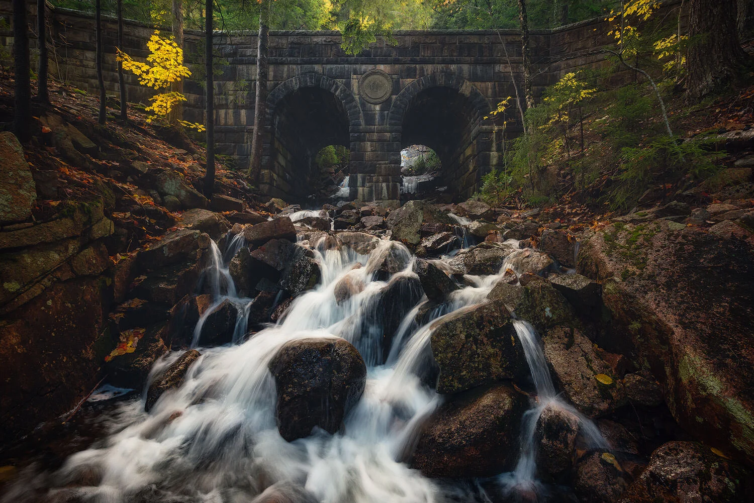 Deer Brook Bridge - Acadia National Park