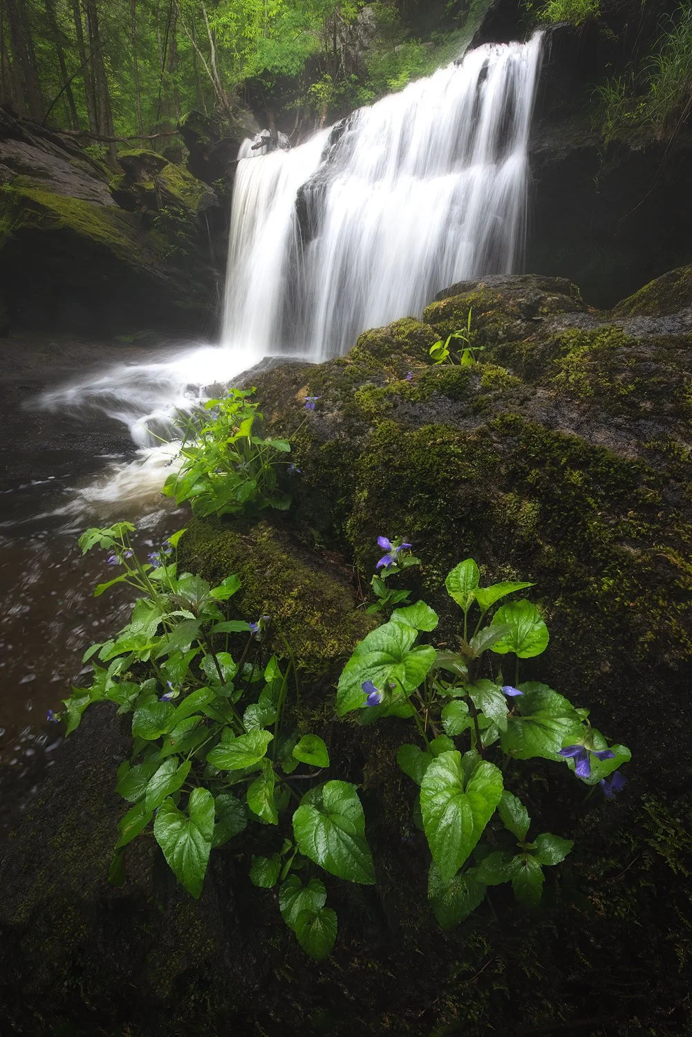 Garwin Falls - Spring