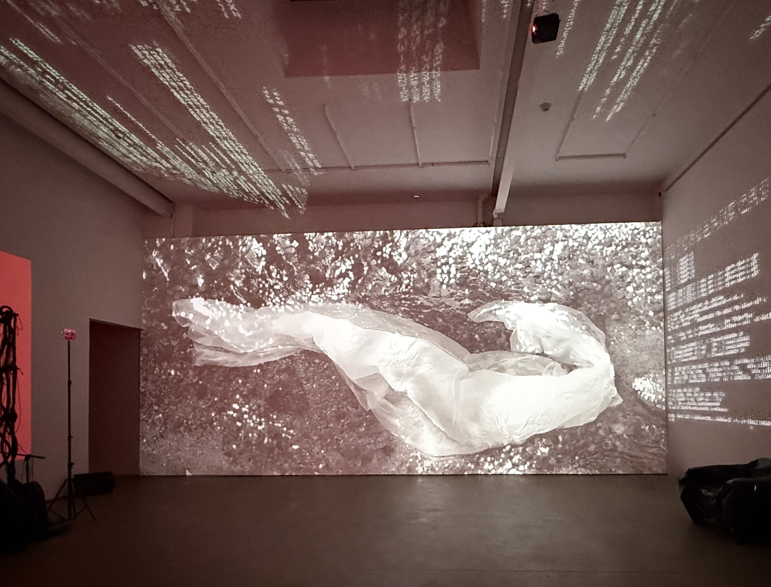 Phosphorescence, 2026, single channel video loop, Installation at Ideal Glass Atelier, NYC