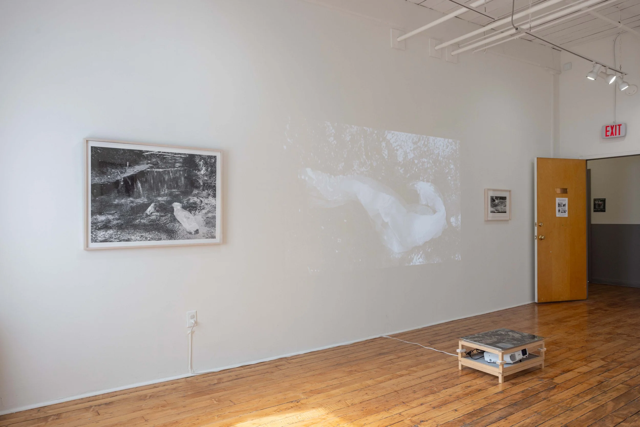 Lindy_Elizabeth_Tracing_Radiance_2026_05_09-036.jpg