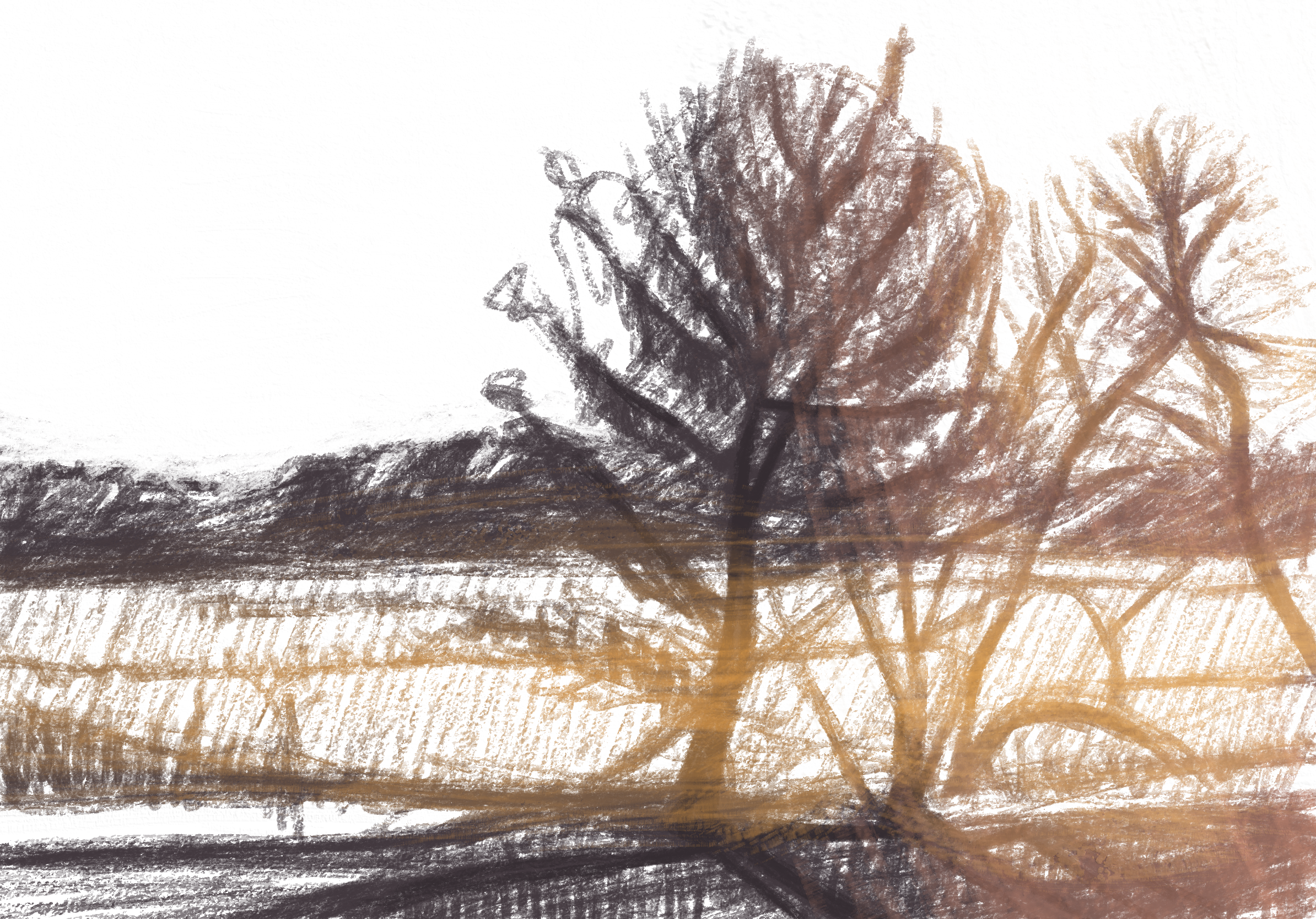 Daily drawings with the digital conte crayon.