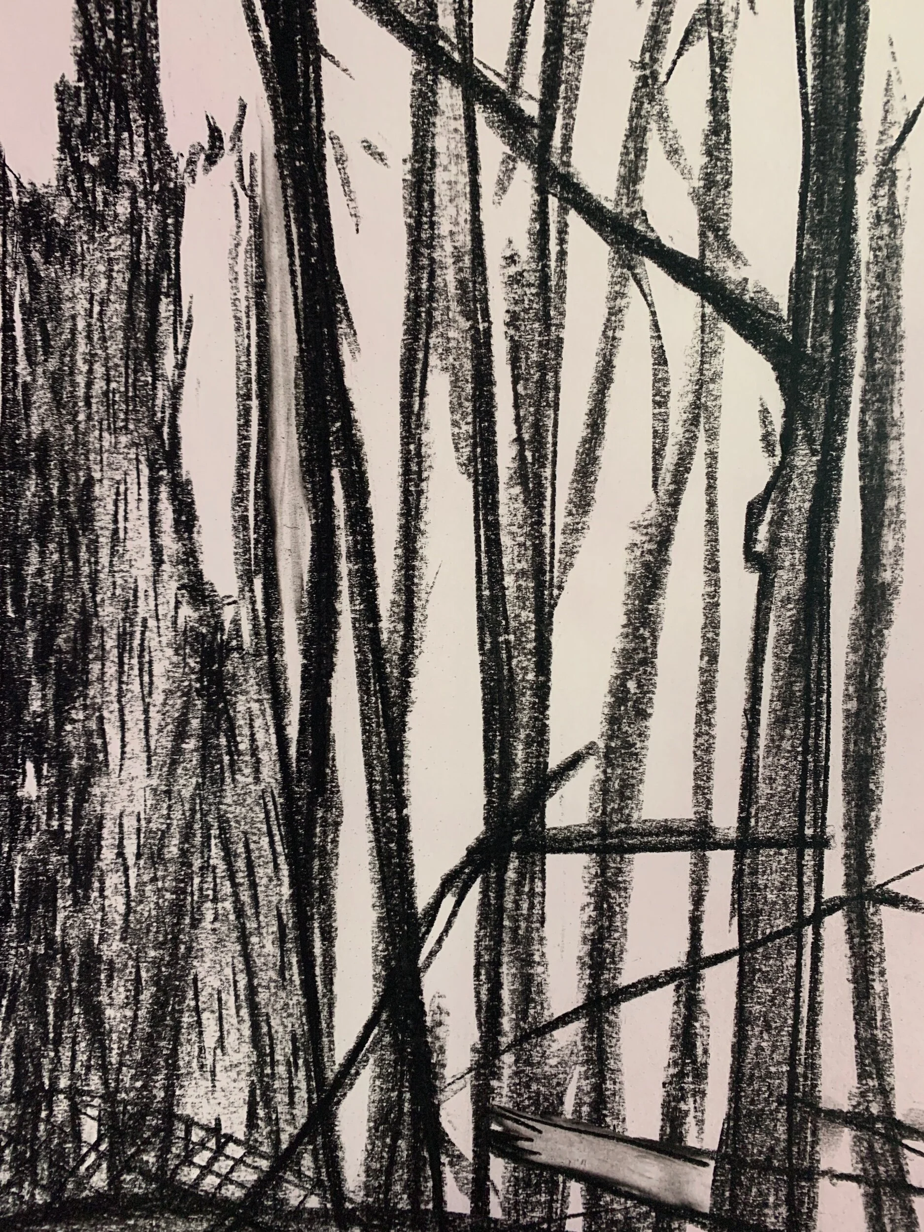 Lunchtime walk in charcoal