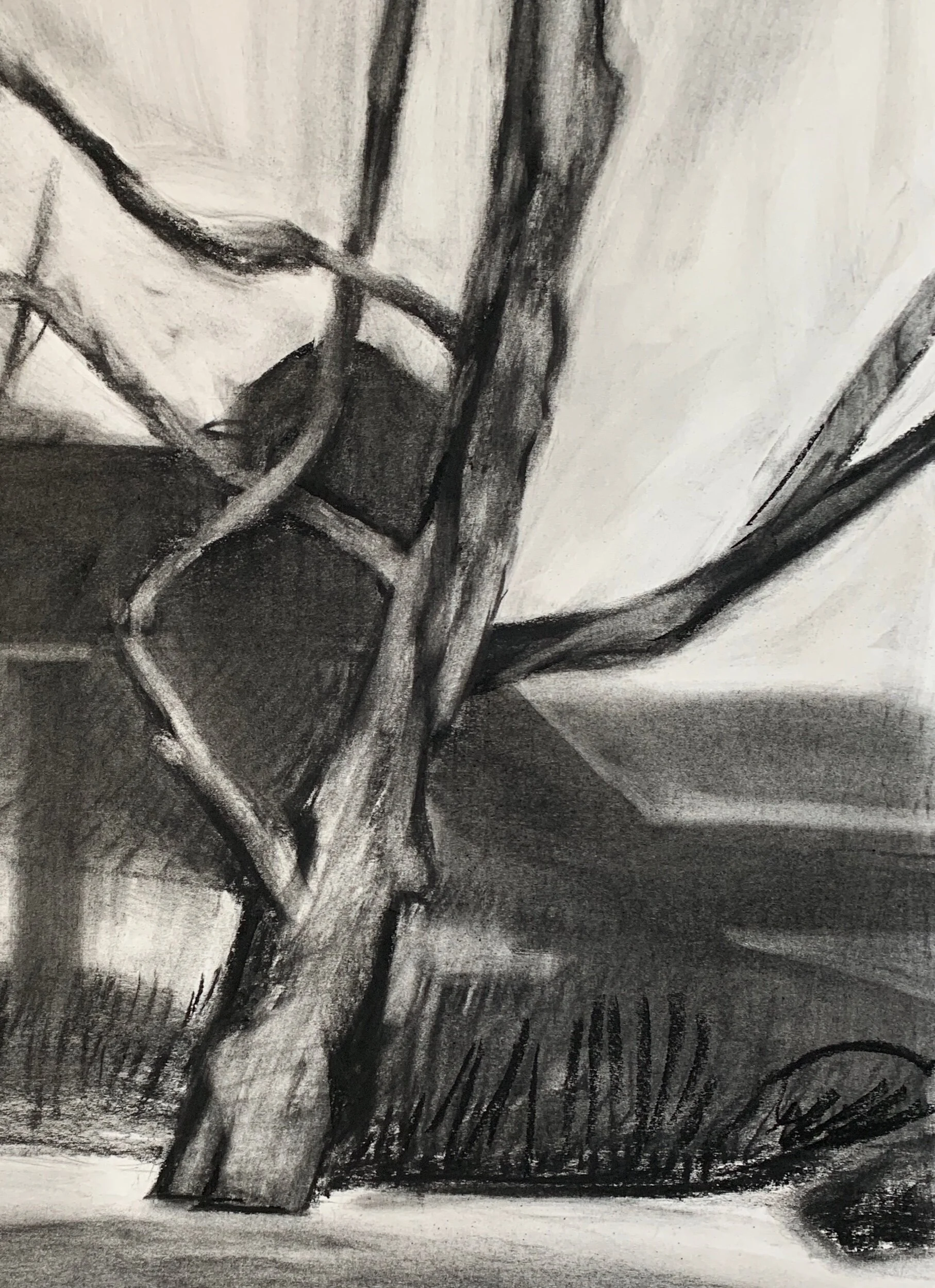 The value of cropping