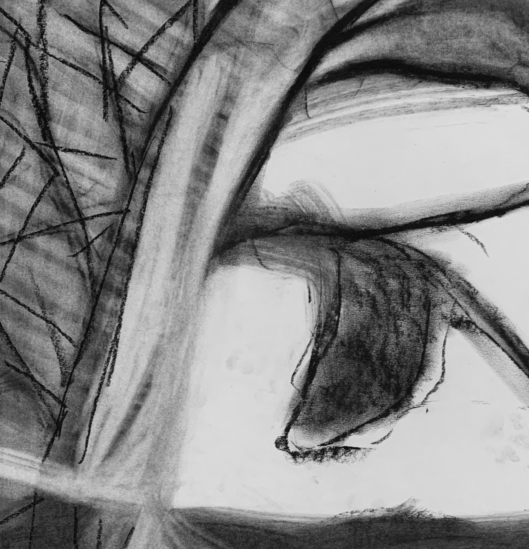 Look forward while looking back