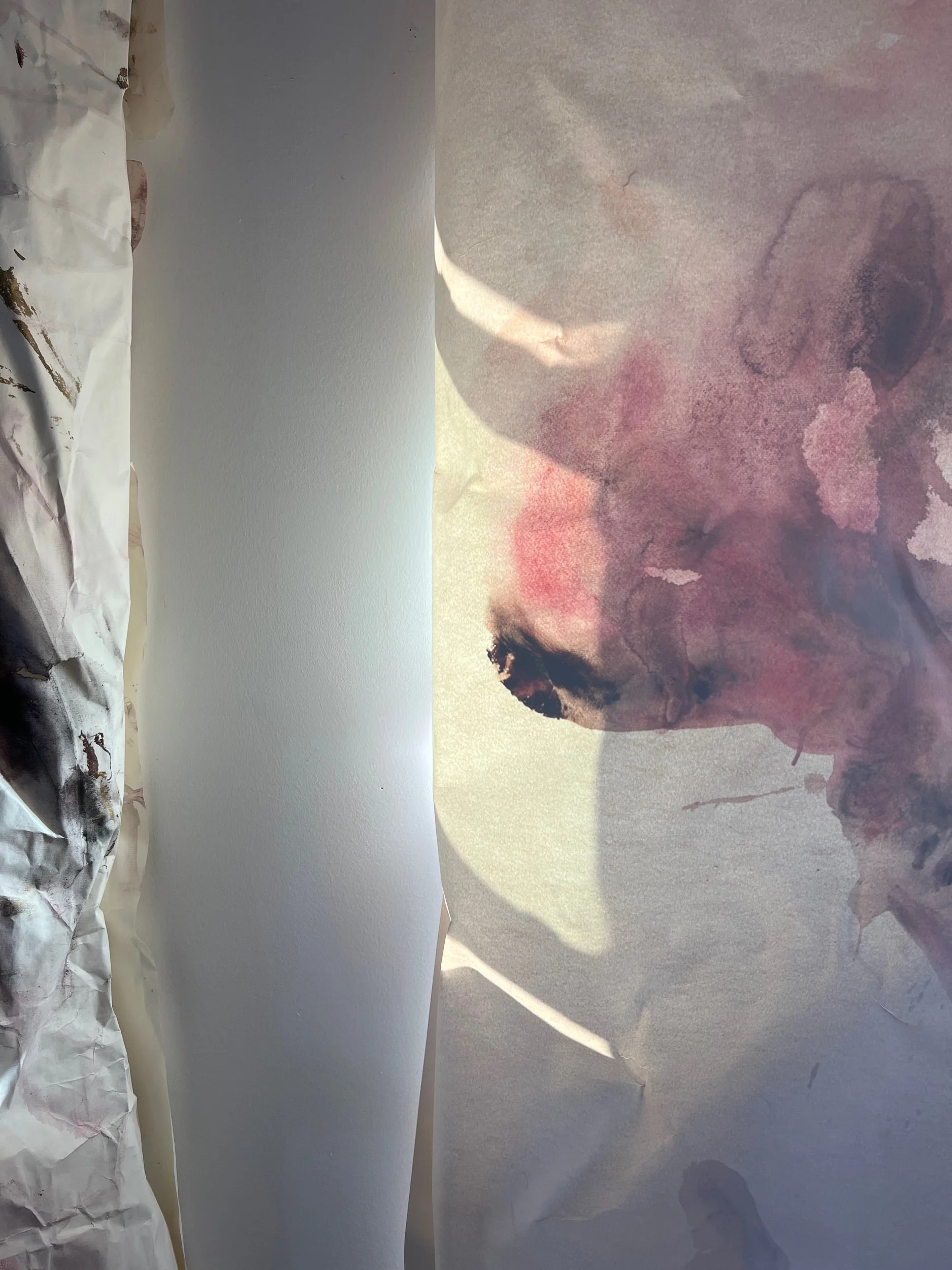 Exploring inside outside in different ways