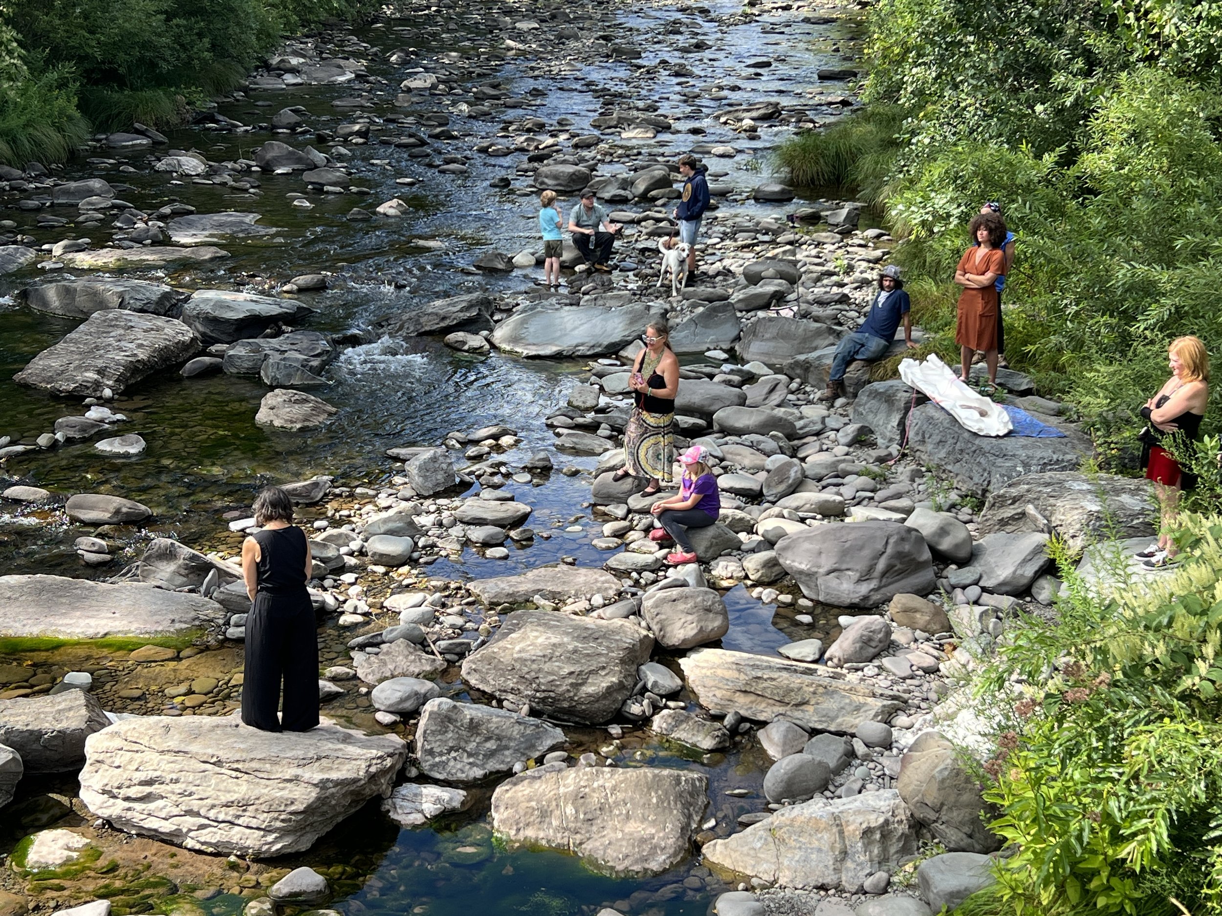 Sediment, 2025, Performance at Stony Clove Creek, Phoenicia Arts Festival, Phoenicia, NY