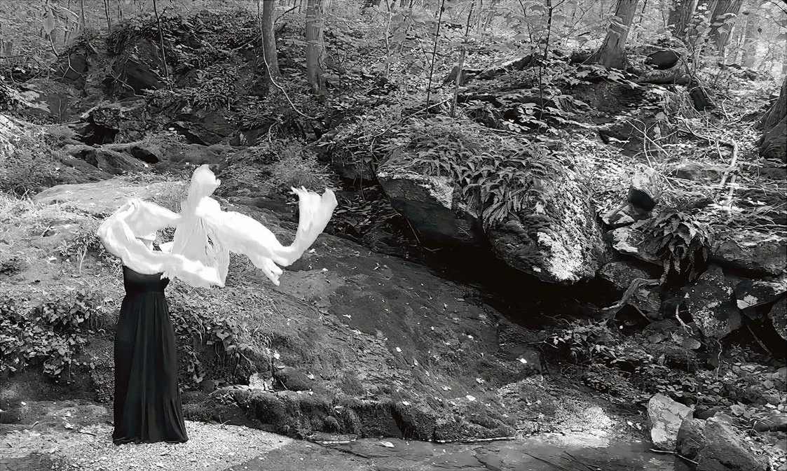 The Shedding, 2026, photograph