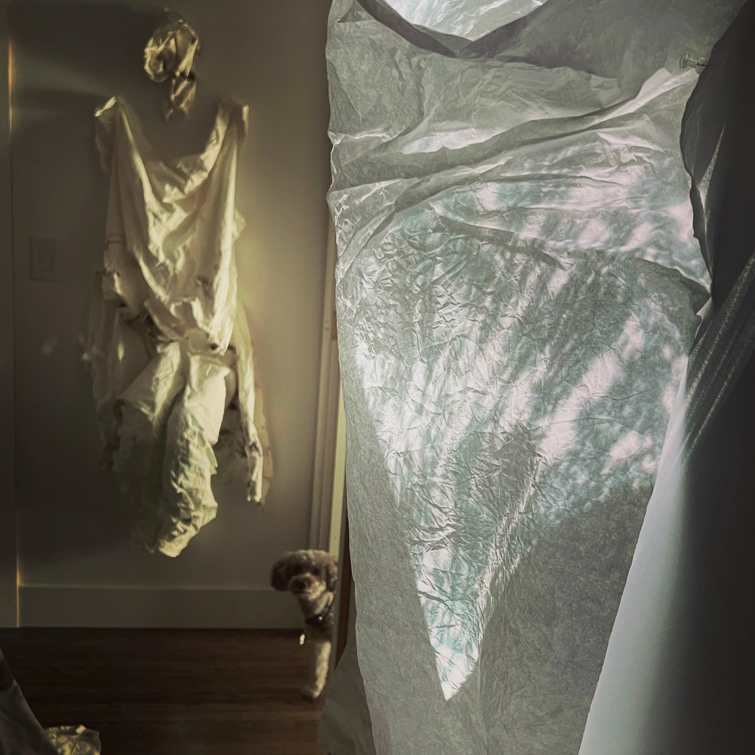 Installation with Lady, 2022, Sculpted paper, single channel video