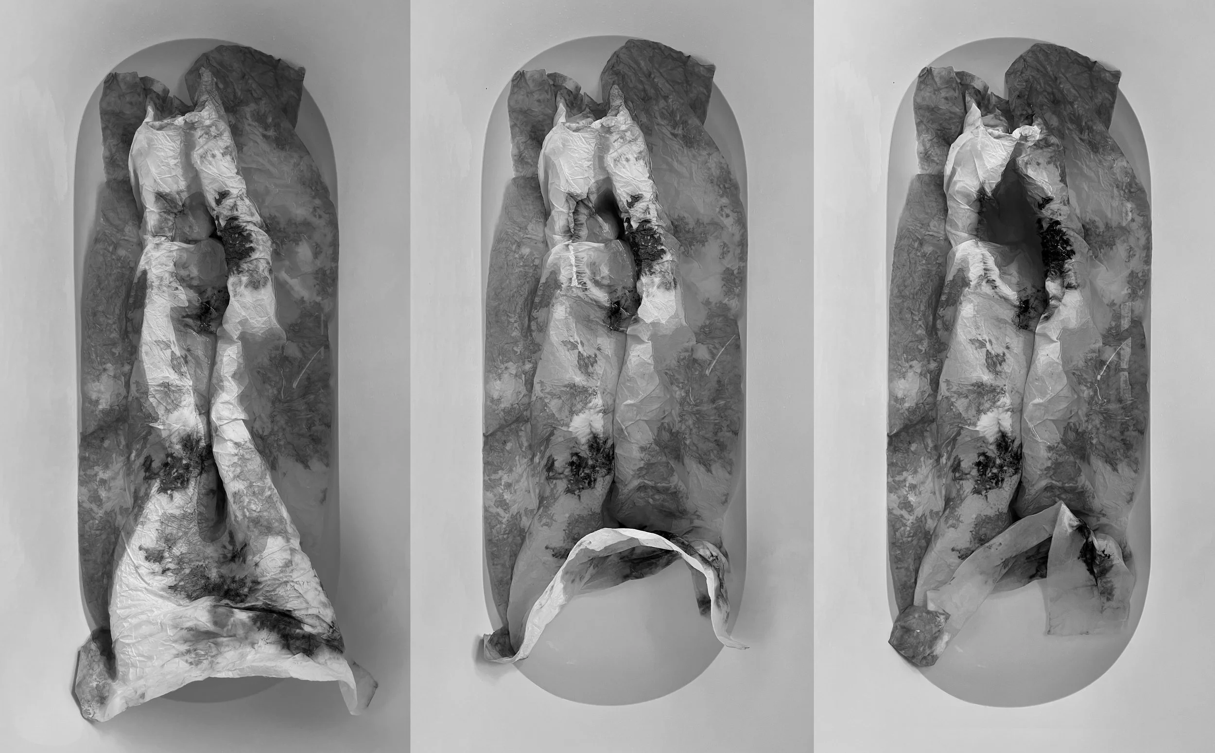 Tryptic, 2023, Archival in print