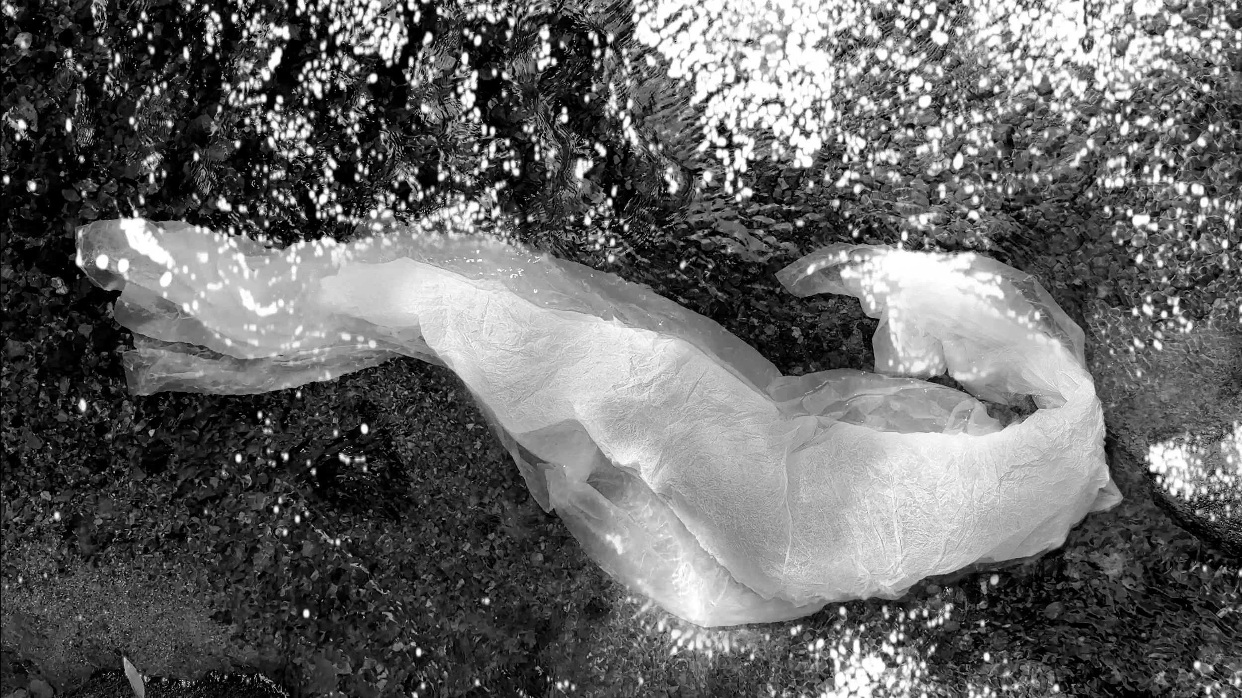 Phosphorescence, 2026, single channel video loop