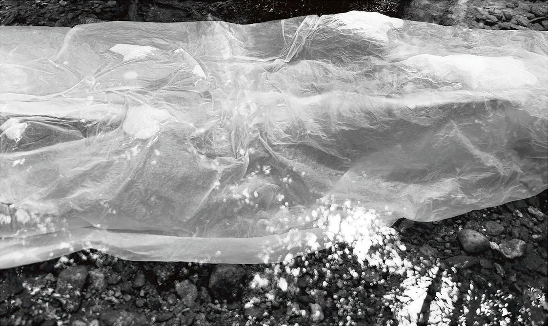 Turning the Light Around, 2026, photograph