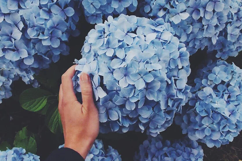 Show Some Love for Your Hands