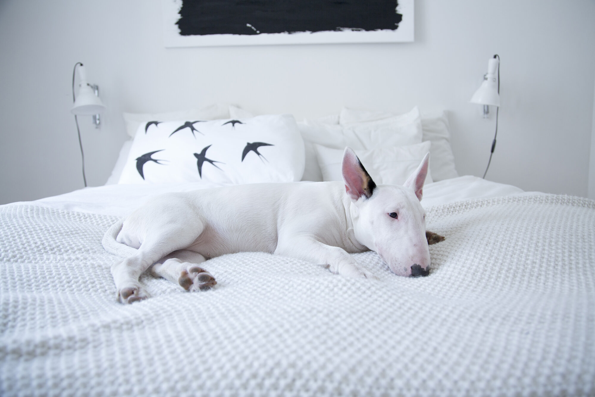AV_0101.jpg