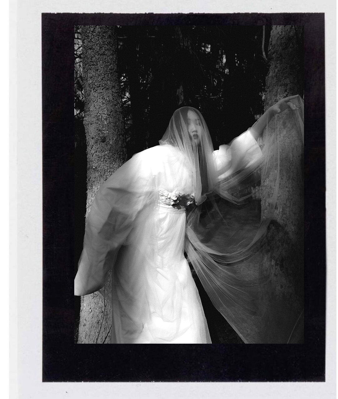 Editorial Under the Skin