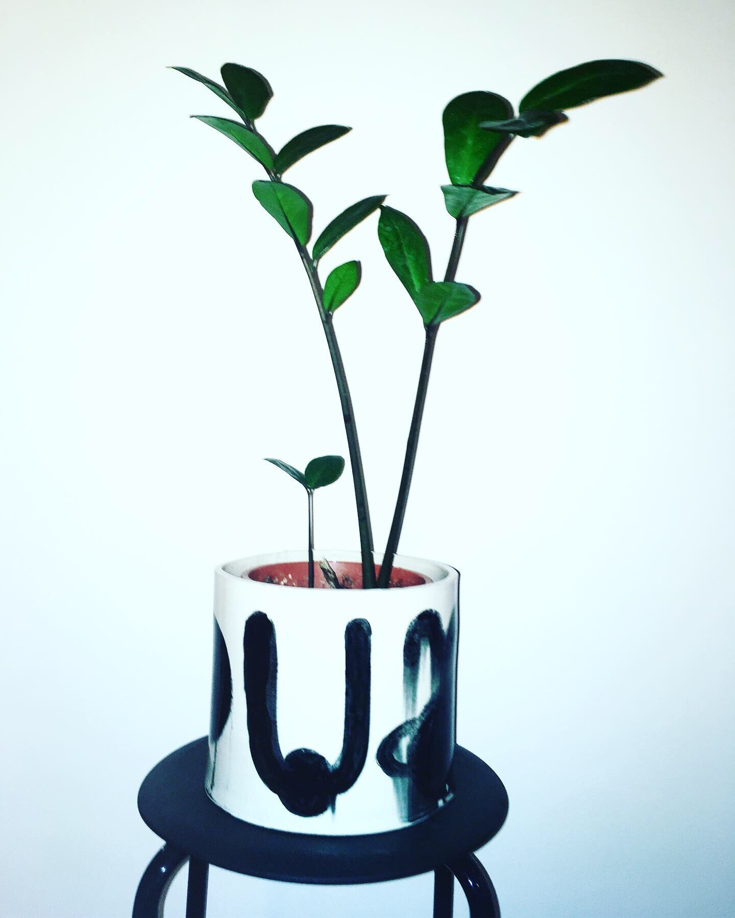 Mina Karami Swedish Ceramic Artist