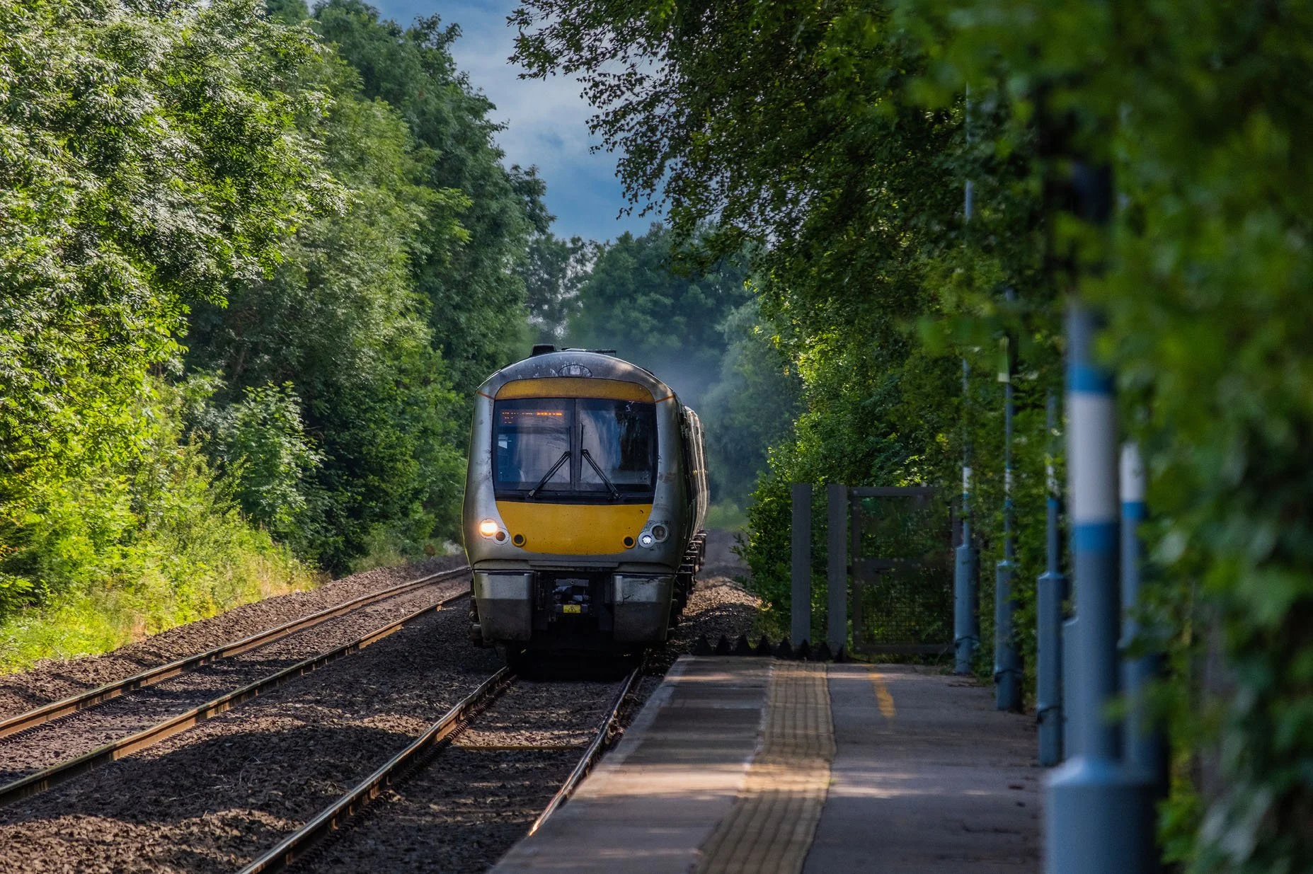A front view of a train approaching a train platform surrounded by leafy trees