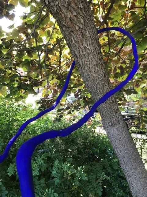 Triffid Park in Brooklyn