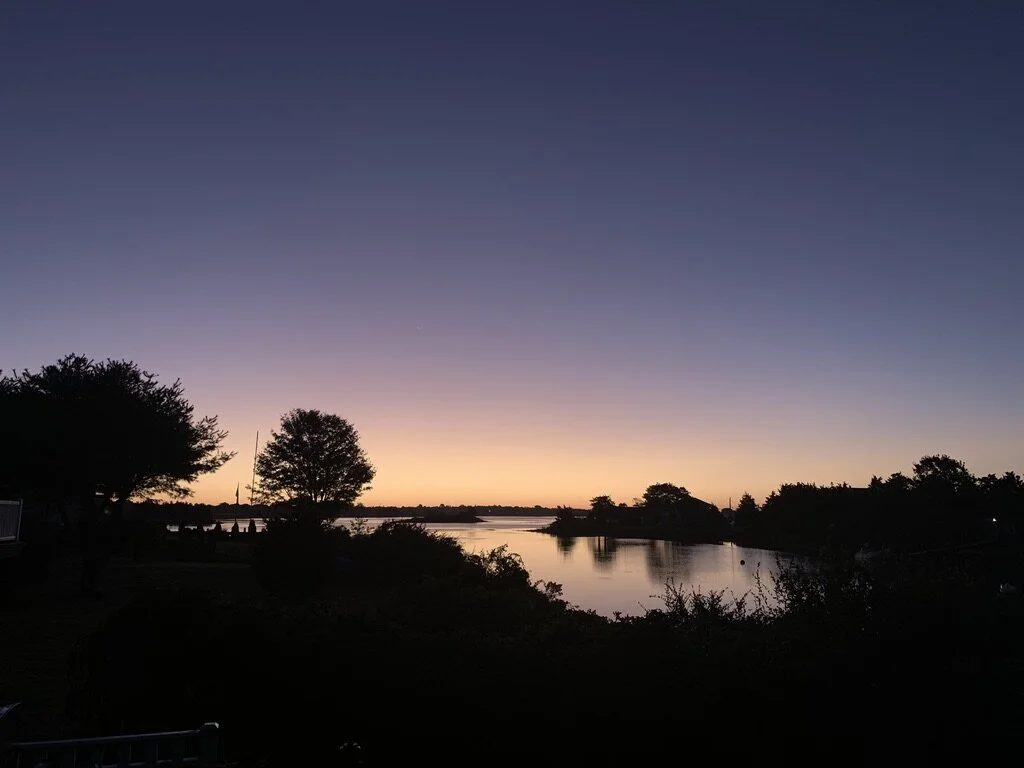 backyard.jpg