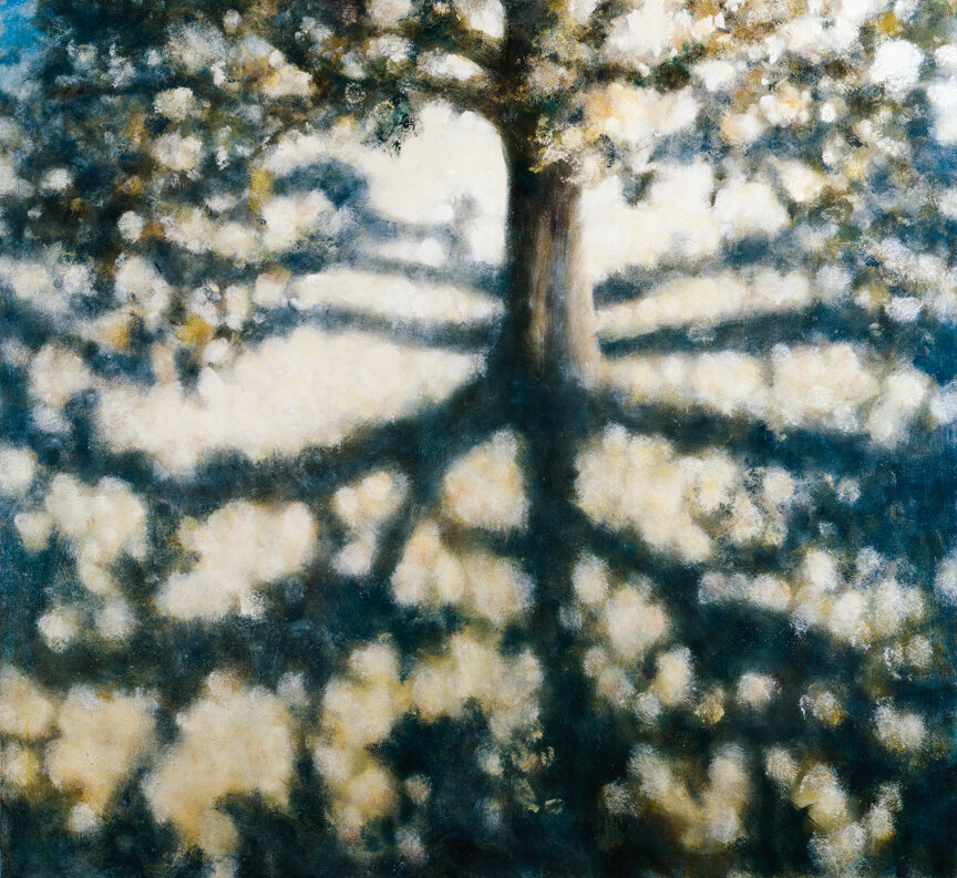 Tree with Shadows (2008)