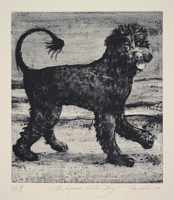 Portuguese Water Dog (2010)
