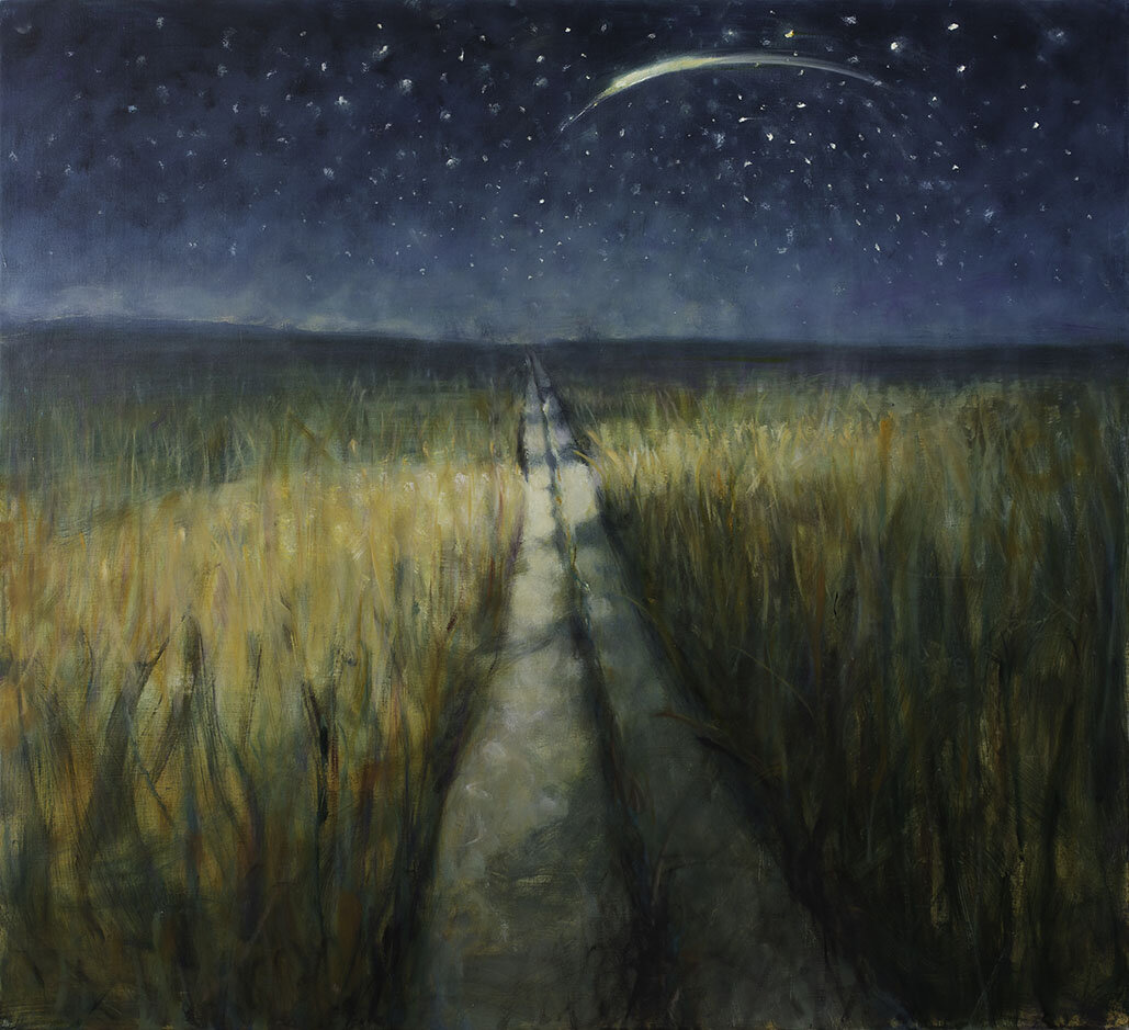 Path Through the Field at Night (2019)