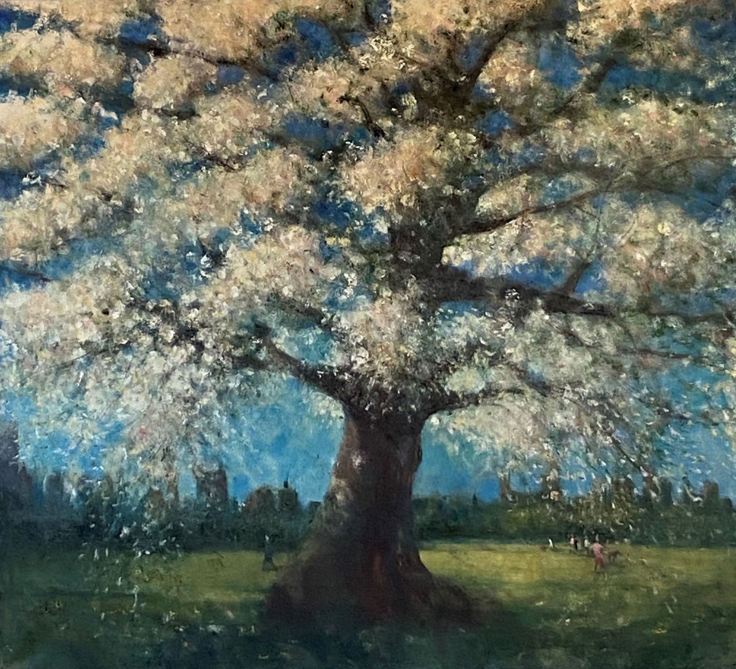 Cherry Tree in the Park (2024)