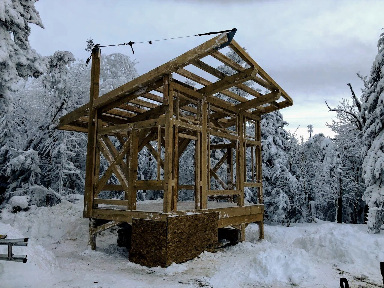 Alpine Architecture — Randall Walter