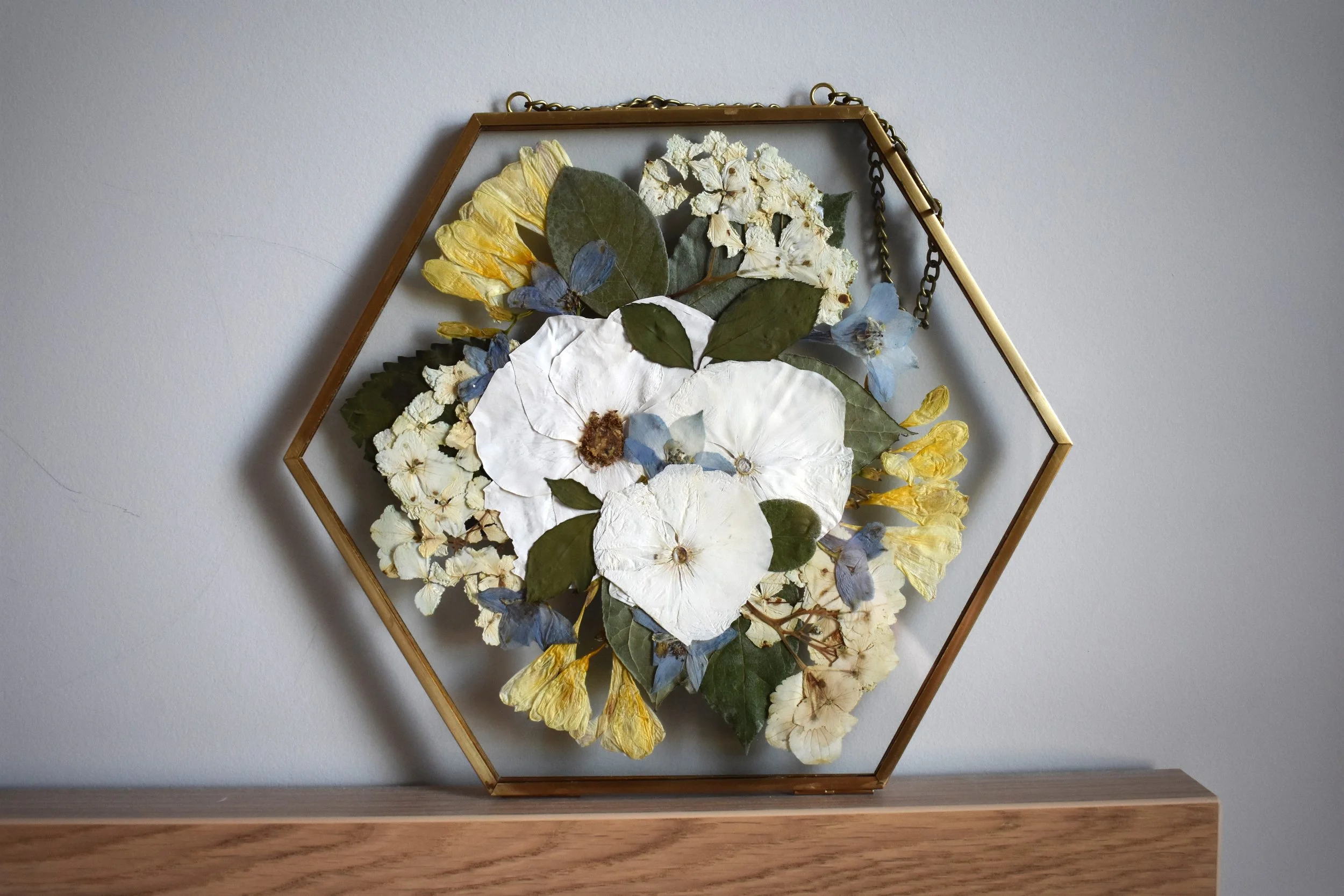 brittany w hexagon.JPG