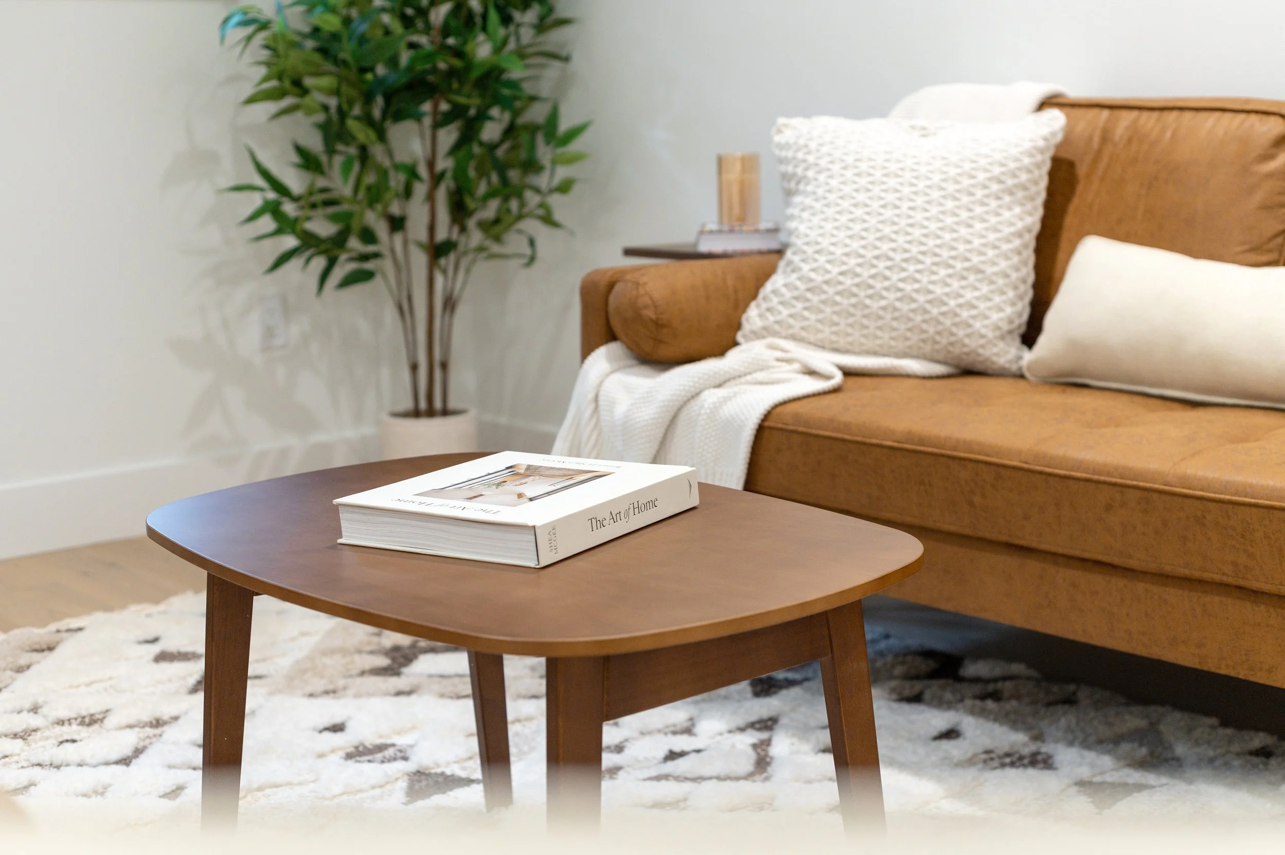 Living room with a wooden coffee table, a tan sofa with white and textured pillows, a side table with books and a candle, a potted plant, and a patterned rug.