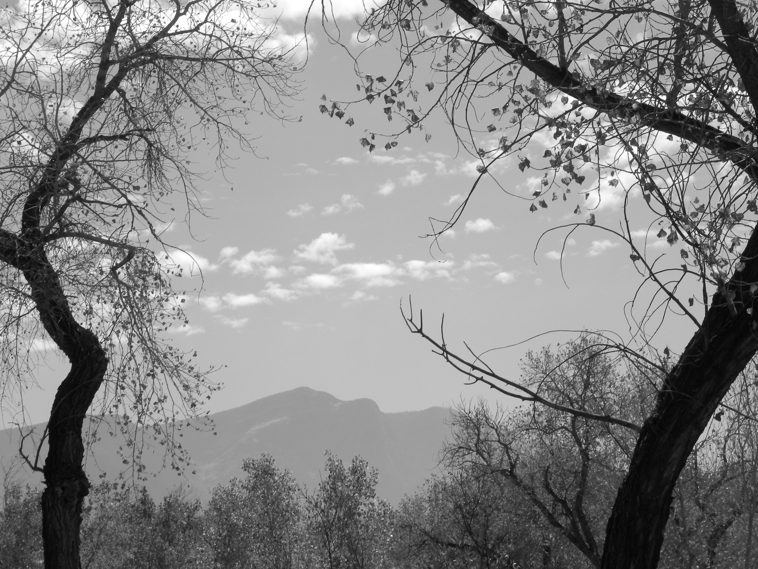 Being Proactively Reactive