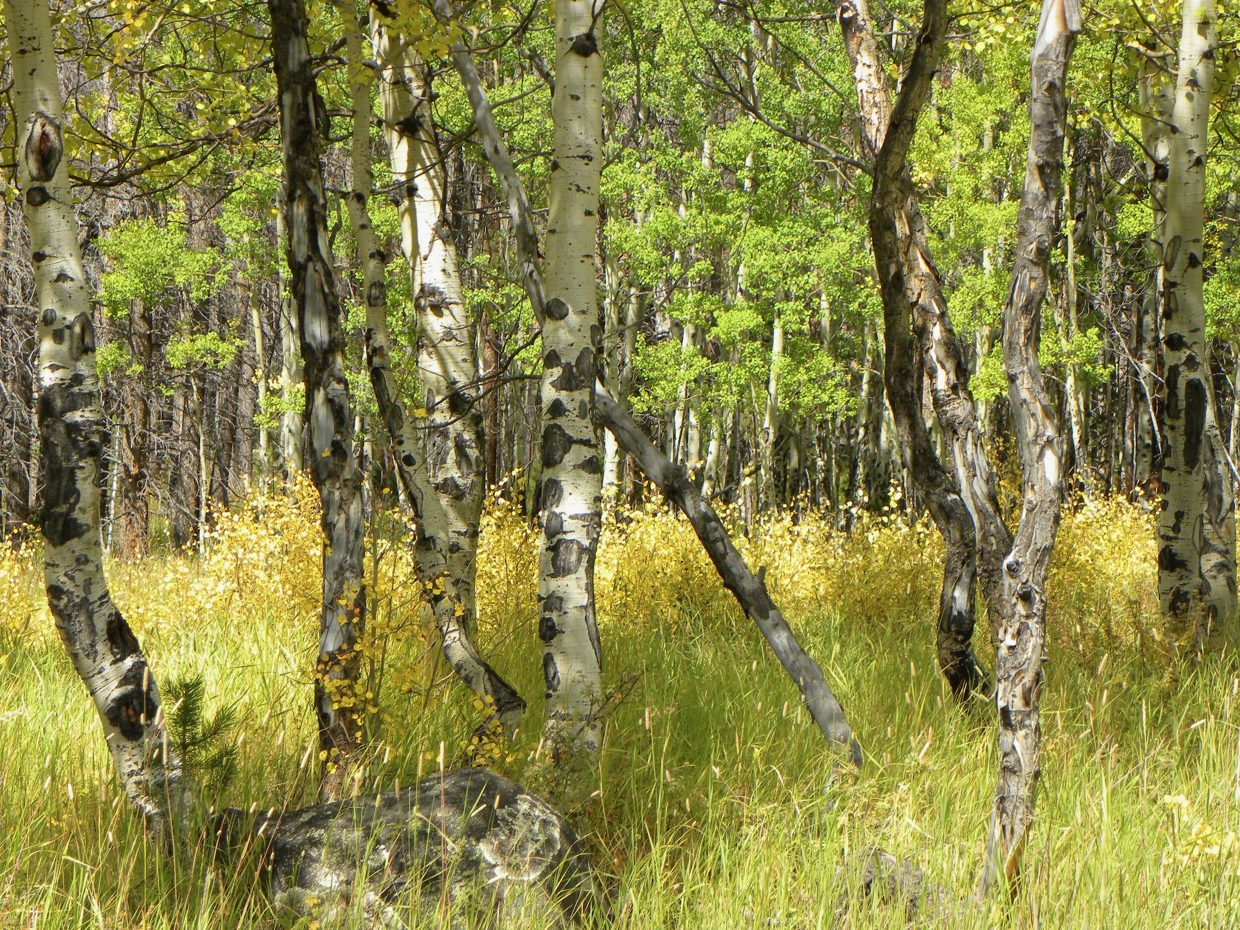 Thoughts on Labor Day