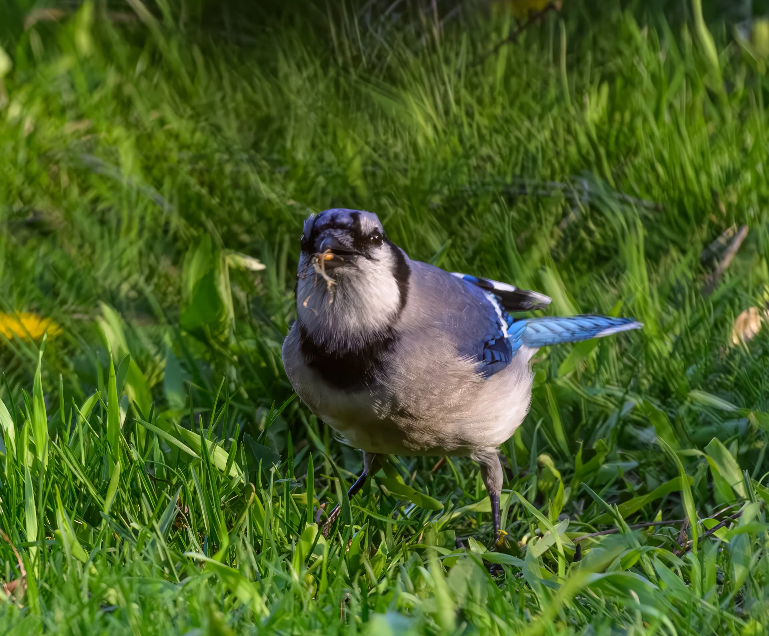 untitled (1 of 1)-17 - Copy - Copy.jpg
