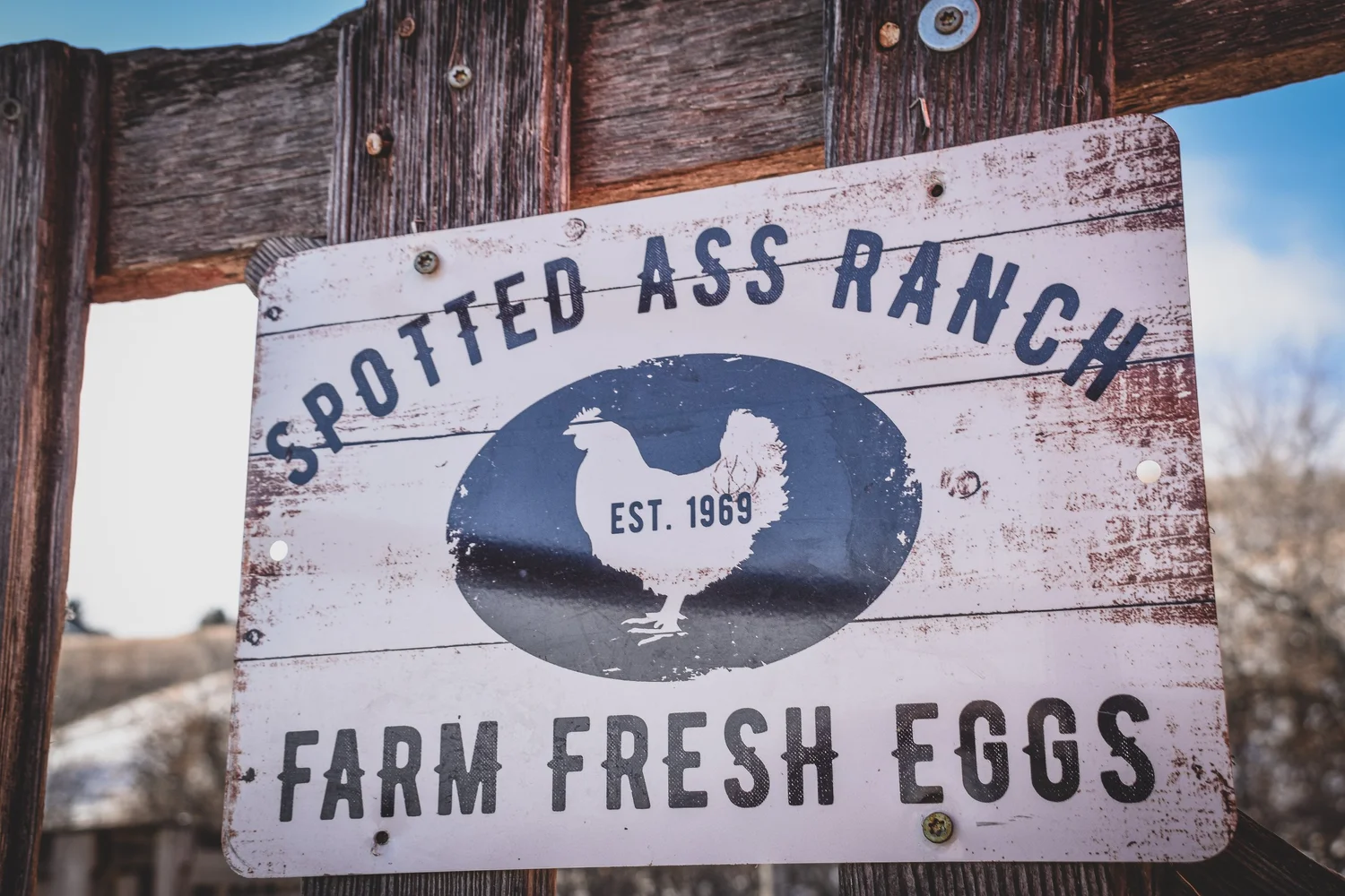 Bad Ass Ranch How do you get a name like Spotted Ass Ranch?! — SPOTTED ASS RANCH
