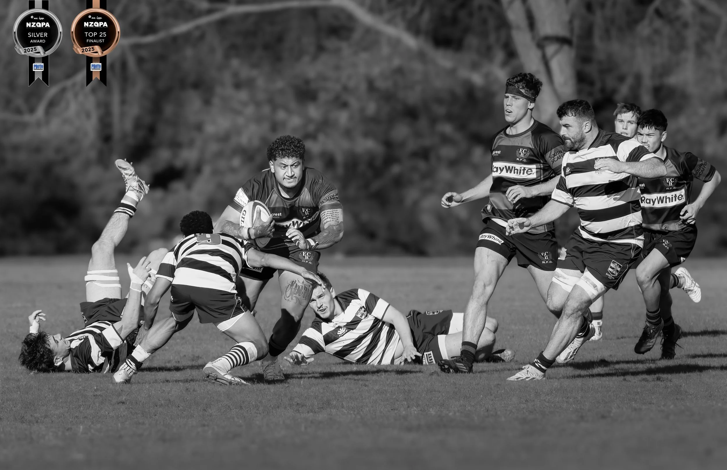 Catch Me If You Can - Silver Medal, Top 25,  NZIPP Amateur Photographer of the Year, Aug 2025