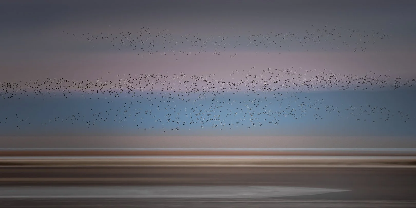 Migration - Bronze Medal, PSNZ Sony National Exhibition of Photography
